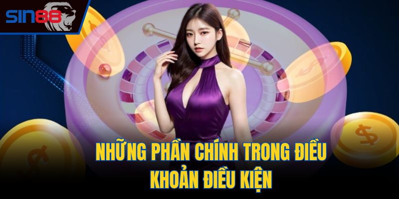 Những phần chính trong điều khoản điều kiện