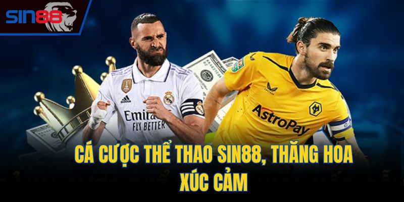 Cá cược thể thao Sin88, thăng hoa xúc cảm