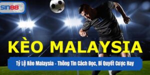 Tỷ Lệ Kèo Malaysia - Thông Tin Cách Đọc, Bí Quyết Cược Hay